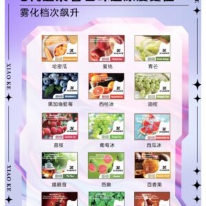 XIAOKE 可替換式電子煙 (兼容 RELX6代)